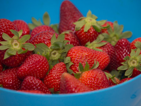 Detail of ripe organically grown strawberries looking great isolated.の写真素材