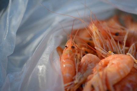 Little shrimps in a plastic bag upclose