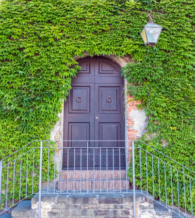 door with ivyの写真素材