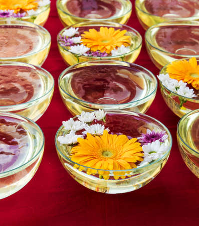 flower in water bowlの写真素材