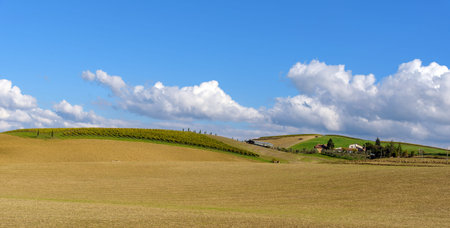 cultivated field and farmの写真素材