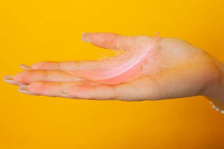 Close-up of a girl's hand holds feathers. Isolated on yellow background.の写真素材