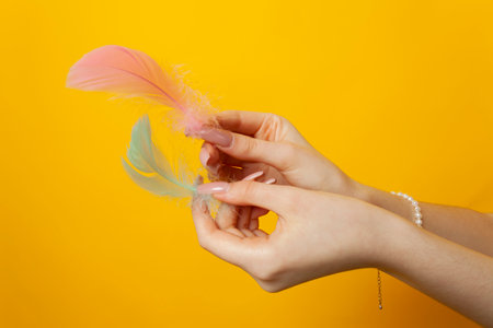 Close-up of a girl's hands holds feathers. Isolated on yellow background.の写真素材