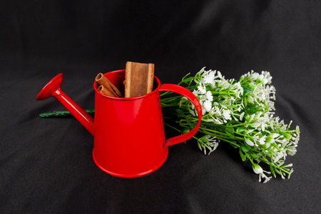 Red watering can, wood, cinnamon stick and flowers isolated on black. Concept of gardening and natural remedies.の写真素材