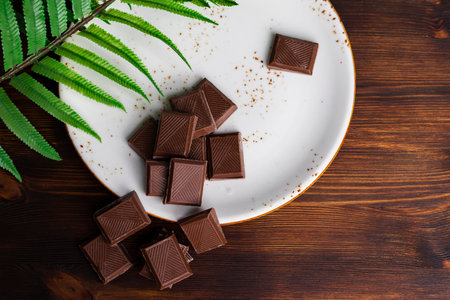Chocolate bar pieces on a white fancy plate decorated with a fresh branch and leaves lying on a dark wooden table. flat lay, top view.の写真素材