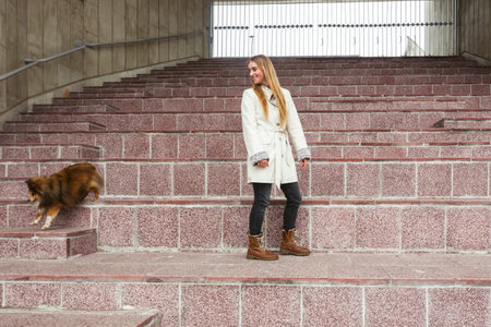 A young blonde girl and her Miniature Sheltie dog, walking on the street, jumping on the tall steps.の写真素材