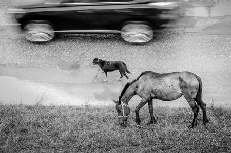 On the road
