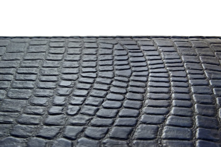 texture skin surface