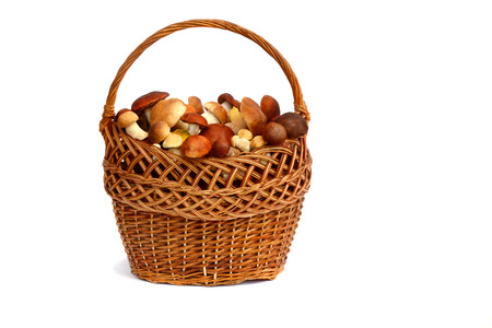 Strong white mushrooms in a wicker basket  Presented on a white background の写真素材