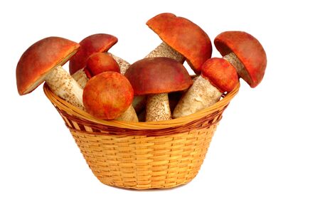 Strong white mushrooms in a wicker basket. Presented on a white background.の写真素材