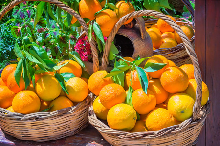 Wicker basket full of large ripe oranges, decorated with green branches and flowers. Presents closeup.の写真素材