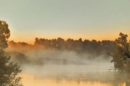 Beautiful calm river with the mist over the surface of the water at dawn by the light of the rising sun.の写真素材