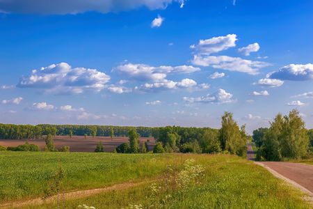 Summer landscape: fields, meadows, country road with trees along the roadside. On a blue sky fluffy white clouds.の写真素材