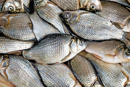 On a wooden table is a carp caught in the river, lies next to green onions and dill.