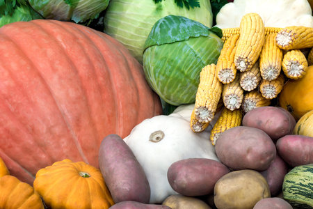 A variety of vegetables: potatoes, pumpkin, squash, corn, cabbage offered for sale at the fair.の写真素材