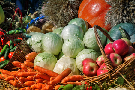 A variety of vegetables: tomatoes, potatoes, pumpkins, squash, corn, corn, apples presented for sale at the fair.の写真素材