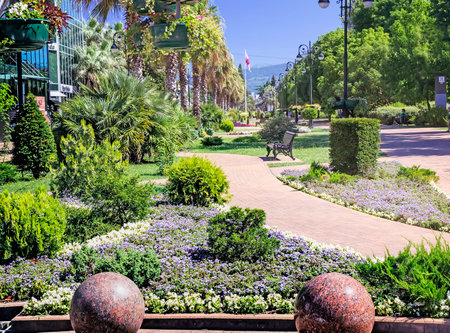 Cityscape: view of one of the city streets with flower beds of flowers, tropical plants , palm trees along the road, decorative items.のeditorial素材
