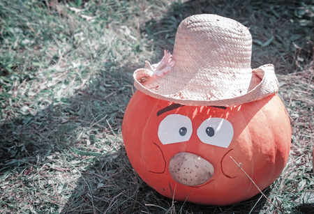 On earth, most orange pumpkin, decorated in the form of the head of the funny man in the hat.の写真素材