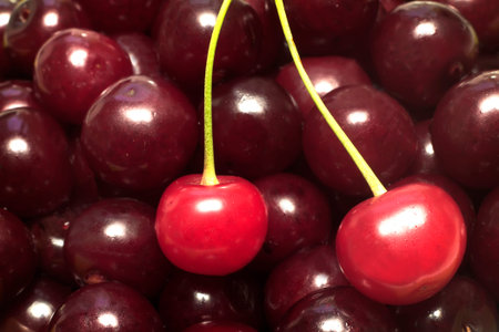 Large ripe fruits of cherry the background image