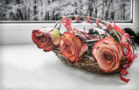 Wicker basket with beautiful bright roses on the surface of the window sill.の写真素材