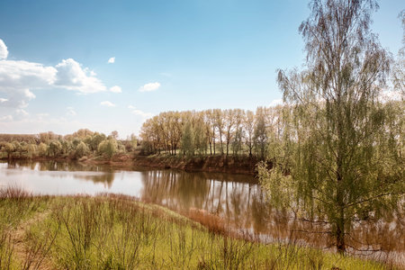 A large lake on the banks forested. A clear cloudless spring day.