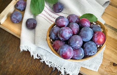On the table on a napkin wicker basket filled with ripe large plums.の写真素材
