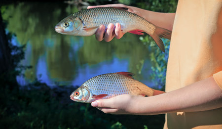 On the banks of the river girl holding two large fish caught in the river.