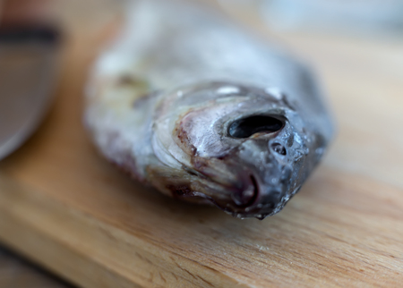 Dried roach on the table on the cutting Board.の写真素材