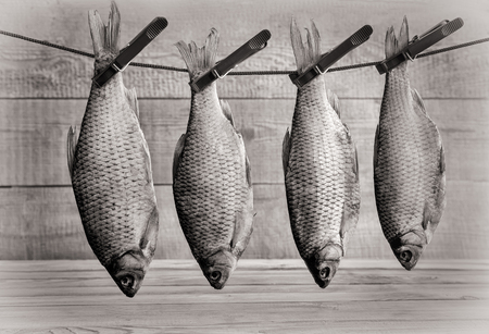 Dried roach hanging on a rope on clothespinsの写真素材
