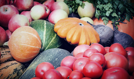 A variety of vegetables: tomatoes, potatoes, pumpkins, squash, corn, corn, apples presented for sale at the fairの写真素材