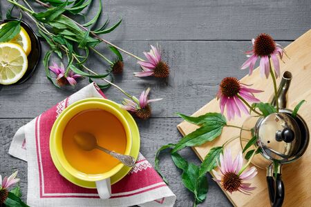 Echinacea is a valuable medicinal plant with immunostimulating effect. Next in a Cup of herbal tea with Echinacea.の写真素材