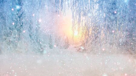 Background for Christmas greeting card with a picture of winter landscape.の写真素材