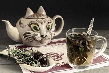 Medicinal herbal tea with the medicinal plant Echinacea, which has an immunostimulating effect.の写真素材