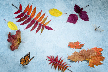 Autumn composition: on a blue background fallen red and yellow autumn leaves, butterfly, dragonfly....