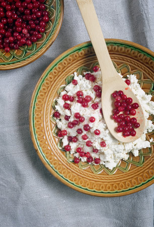 Delicious cottage cheese with red currant berriesの写真素材