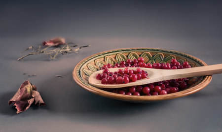 Red currant berries in a ceramic plateの写真素材