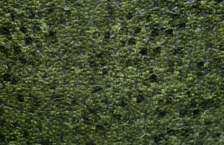 Green background with various white spiral lines