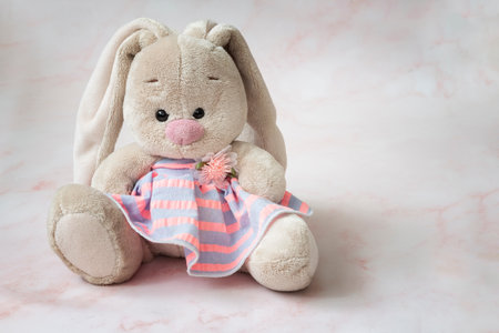 A soft childrens toy, an Easter bunny in a pink dress.の写真素材