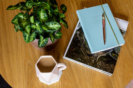 Coffee table with a plant, coffee cup, magazine, notebook and penの写真素材