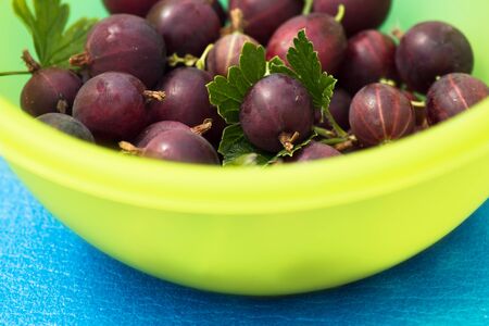 the red gooseberries in the yellow skinの写真素材