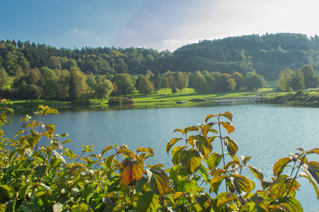 nature in autumn at Lake Rur Eifel National Parkの写真素材