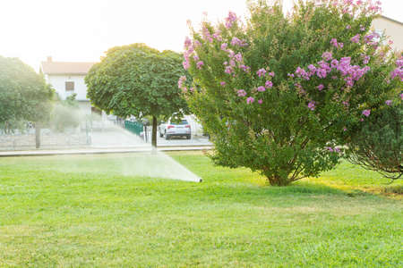 Golden hour at the sunsrise on the shore of Medulinの写真素材