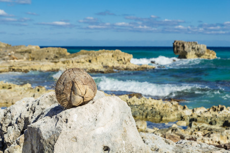 A coconut lies on a stone on the beachの写真素材