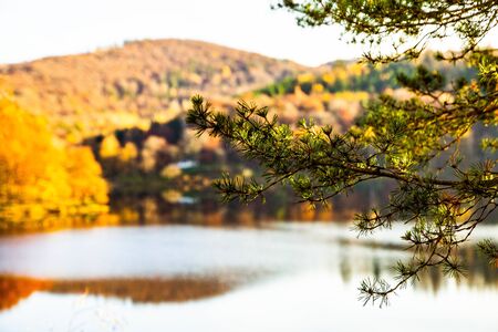 reflection on the surface of the lake in the Eifel Nature Parkの写真素材