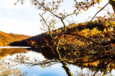 reflection on the surface of the lake in the Eifel Nature Parkの写真素材