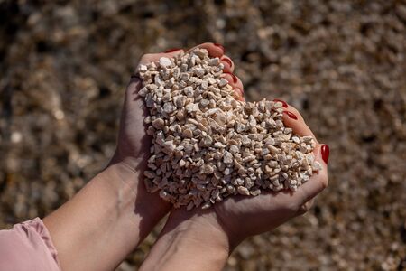 Female palm with nail polish on fingernails holding small pebble stonesの写真素材