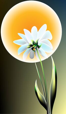 White flower on a background of the moon and the night skyのイラスト素材