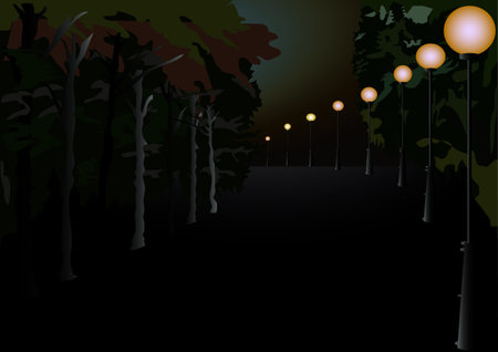 crowns and trunks of trees lit by lanterns and the dim light of the moonのイラスト素材