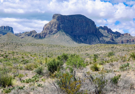 View to the mountain ridges in the Big Bend National Park in Texas.の写真素材