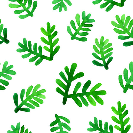 Green fir branches isolated on white background.の写真素材